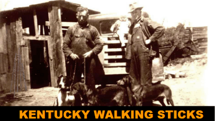 eshop at Kentucky Walking Sticks's web store for American Made products